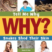 Snakes Shed Their Skin by Gray, Susan H
